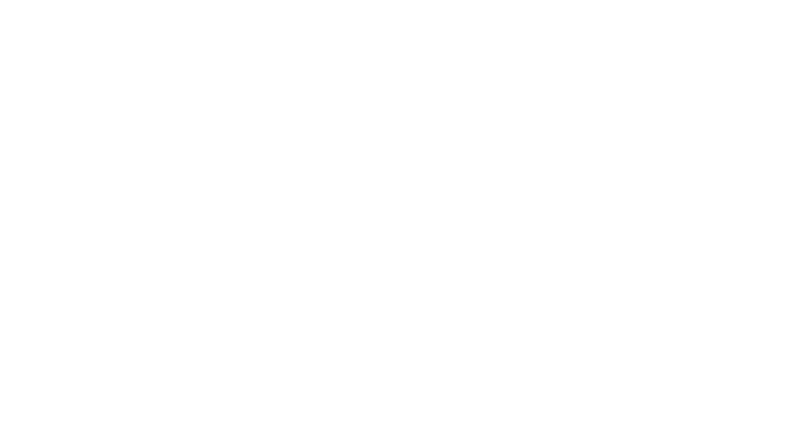 Capstone Construction